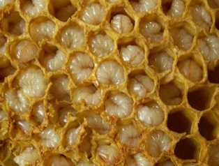 The products of the beekeeping